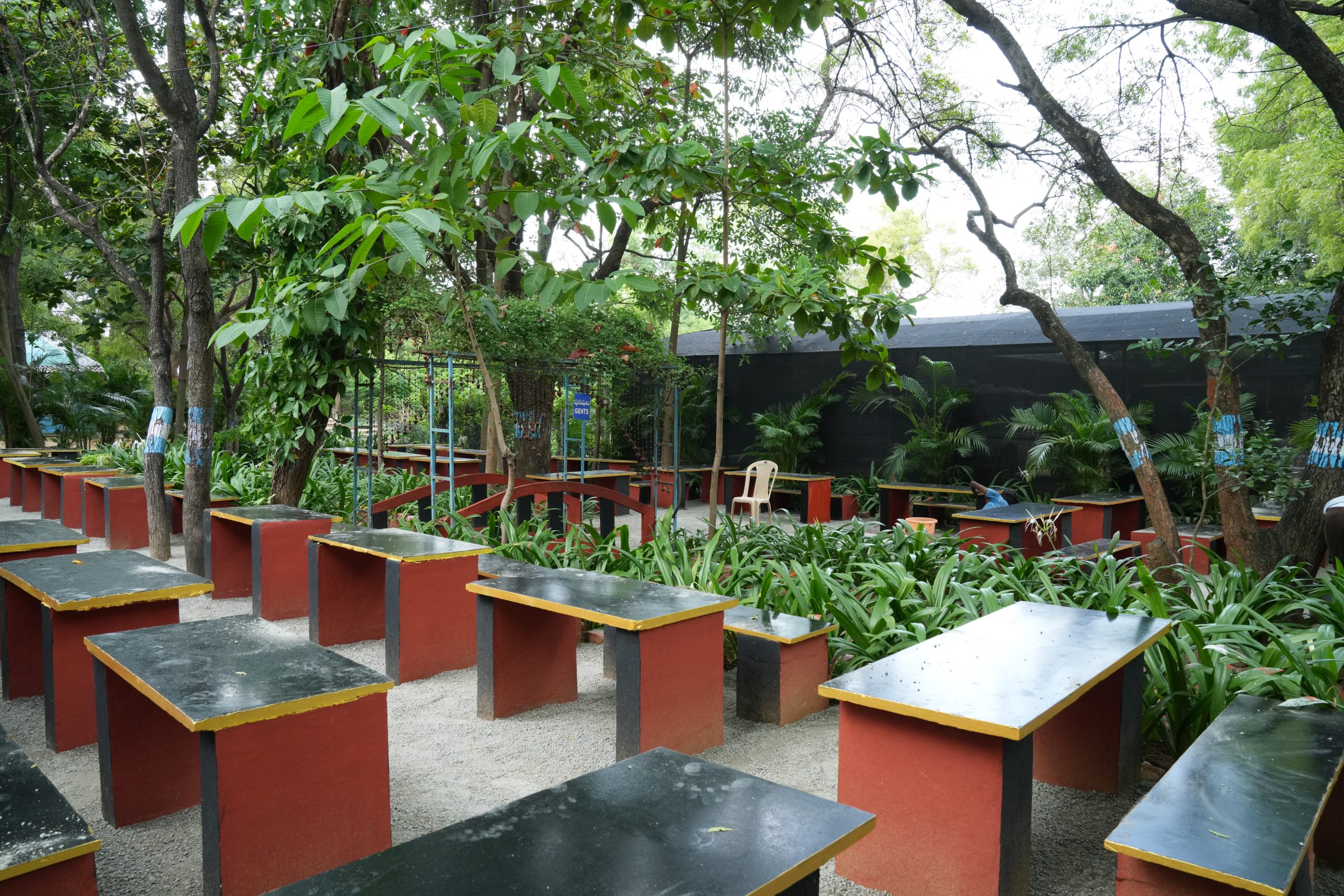 dsc08050