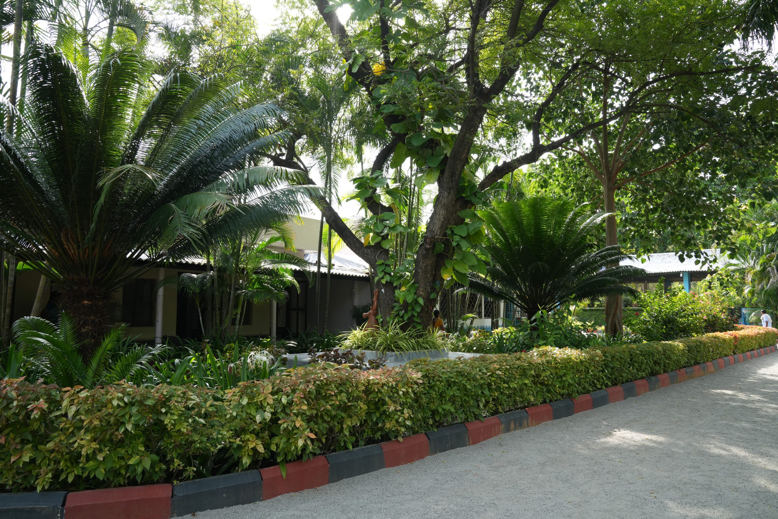 dsc08082